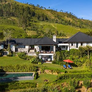 Camellia Hills
